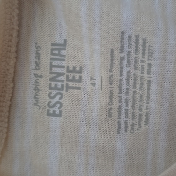 JUMPING BEANS TODDLER BOYS SHORT SLEEVES TEE-SHIRTS BUNDLE OF 2 SIZE 4T - Picture 7 of 9